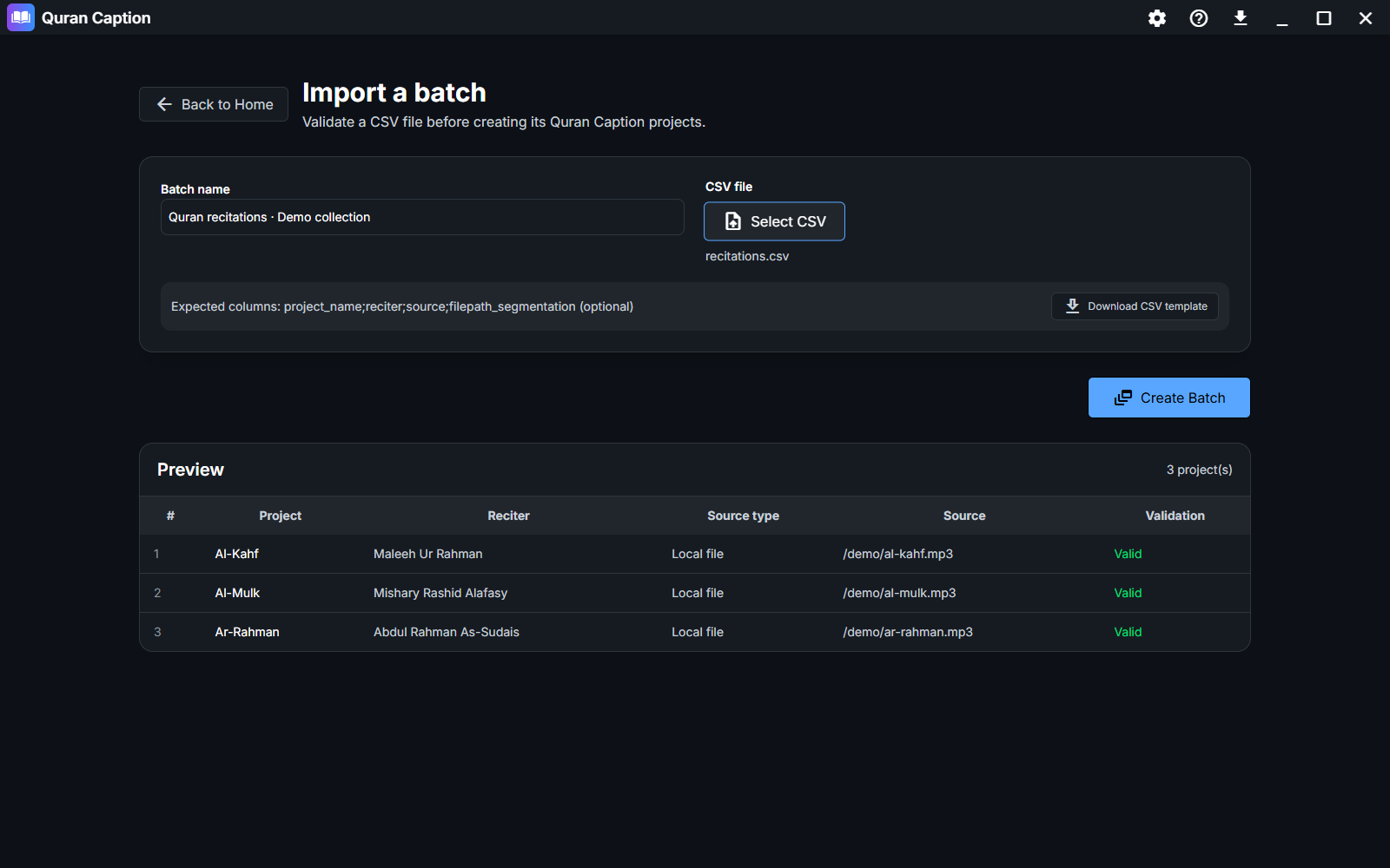 Batch import showing the CSV preview and validation
