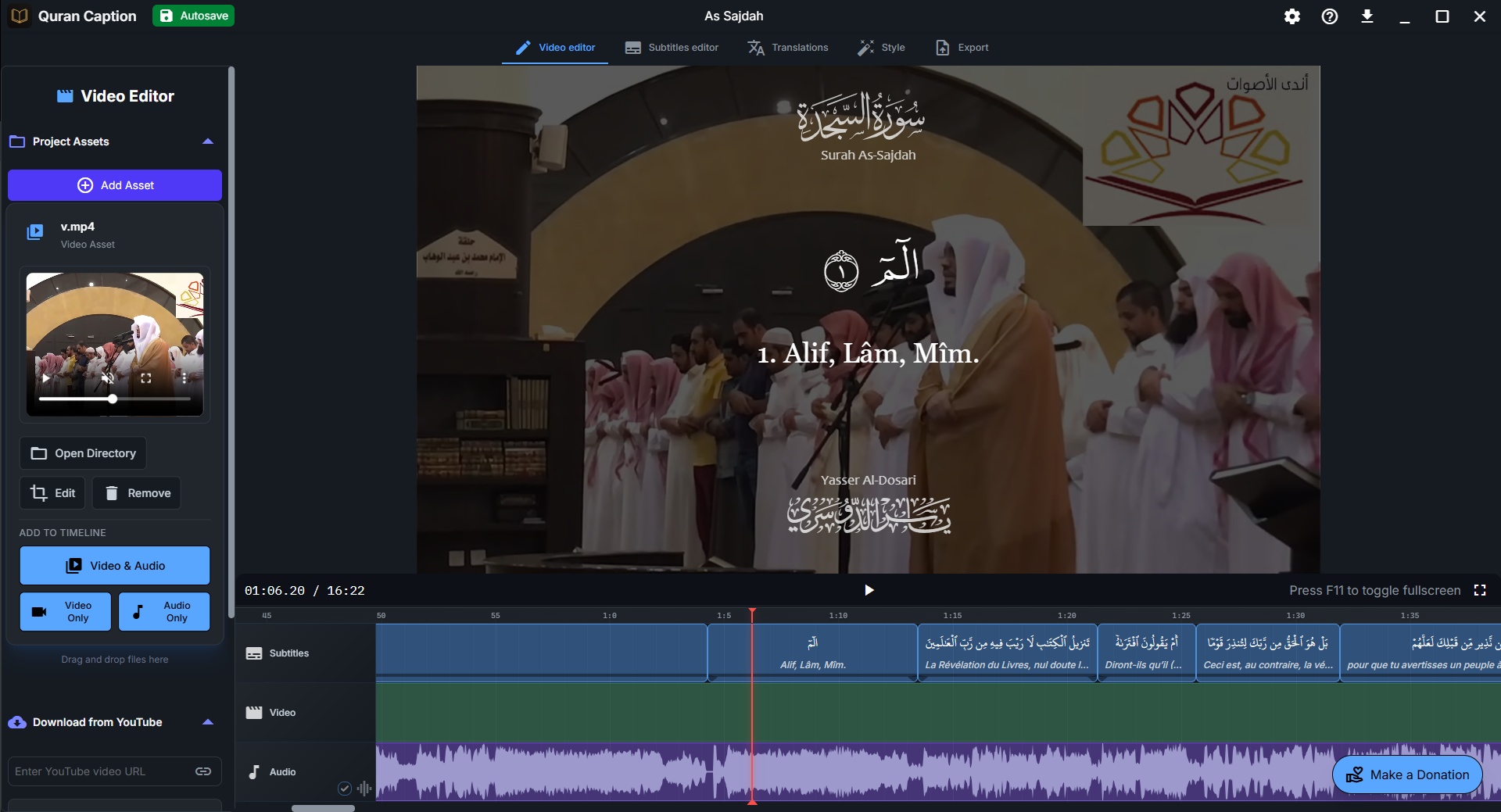 Video Editor tab showing the asset management panel